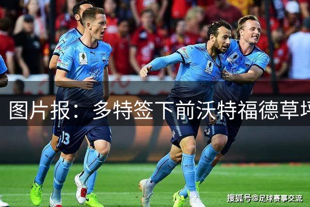 图片报：多特签下前沃特福德草坪主管，出任俱乐部场地管理负责人